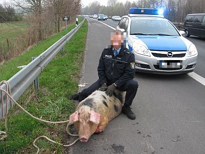 Quelle: Polizeipresse.de